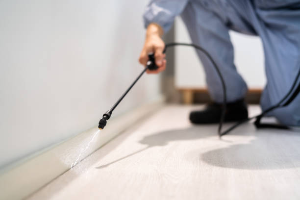 Licensed Pest Control service in Clark County County, KS - Nex Pest Control