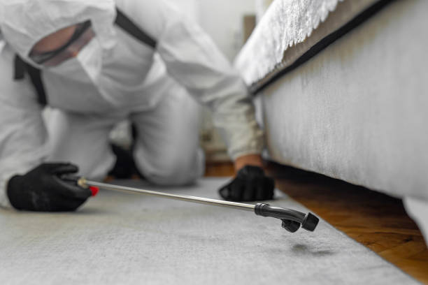 Professional Pest Control technician working in Clark County County, KS